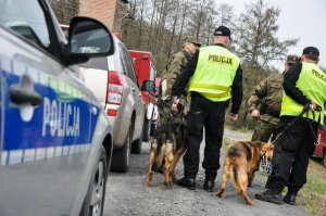 policjanci z psami i strażnicy leśni