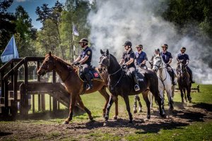 Ćwiczenia koni służbowych w Łodzi