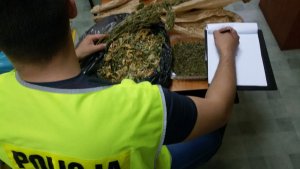 Policjanci zabezpieczyli blisko półtora kilograma marihuany