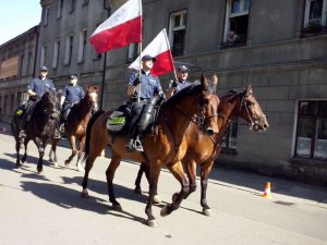 Policyjne pokazy atrakcją majówki konnej w Pszczynie #2