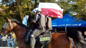 Policyjne pokazy atrakcją majówki konnej w Pszczynie #9