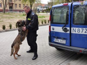 Iwo - pies służbowy z lęborskiej komendy z opiekunem #1