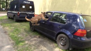 pies atakuje pozoranta w samochodzie