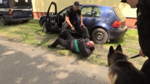 policjant przejmuje pozoranta wyciągniętego a uta przez psa