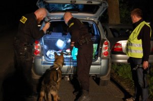 policjanci z psem przeszukują auto