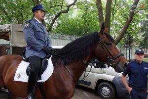Częstochowscy policjanci na „Międzynarodowych Mistrzostwach Policji Konnych” na Węgrzech #2