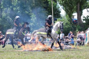 Policyjne konie na zawodach Sedina Horse Show 2016