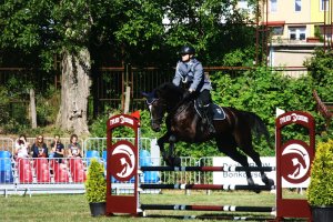 Policyjne konie na zawodach Sedina Horse Show 2016