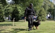 Policyjne psy w służbie na rzecz bezpieczeństwa pielgrzymów podczas ŚDM
