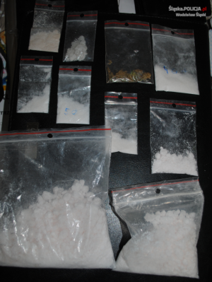 Kryminalni przejęli 1700 porcji amfetaminy