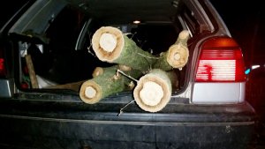 pojazd podejrzanego ze skradzionymi balami drewna