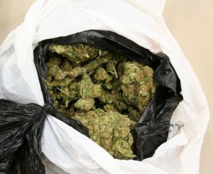W mieszkaniu ukrył 1,5 kg marihuany