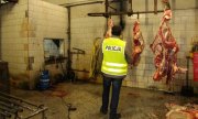 Prowadzili nielegalny ubój zwierząt i sprzedaż mięsa bez zezwolenia