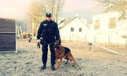 Toro na zasłużonej emeryturze – policyjny pies zamieszka ze swoim przewodnikiem