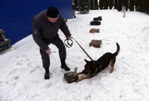 Wspólne szkolenie przewodników psów specjalnych