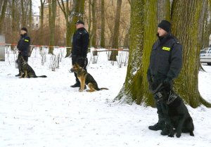 Szkolenie przewodników psów służbowych w parku Planty
