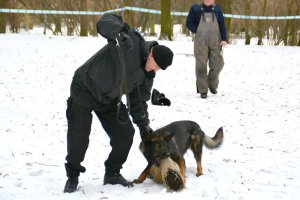 Szkolenie przewodników psów służbowych w parku Planty