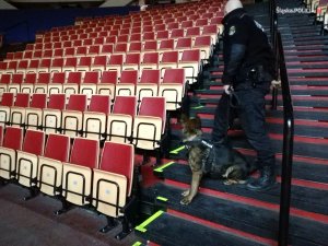 Szkolenie psów policyjnych w katowickim Spodku