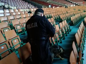 Szkolenie psów policyjnych w katowickim Spodku