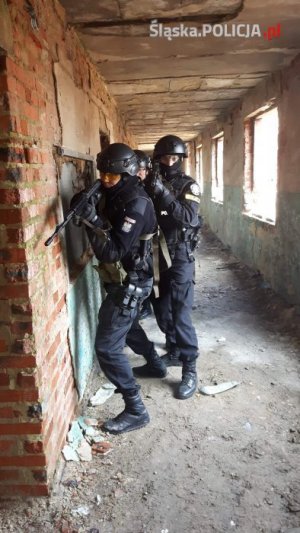 policjanci z żołnierzami w trakcie szkolenia