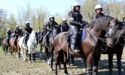 Certyfikacja koni przeznaczonych do służby w policji