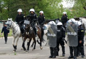 Atestacja policyjnych koni