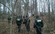 policjanci poszukują w lesie zaginionego