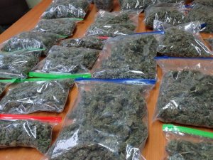 Przysuscy policjanci zabezpieczyli narkotyki warte niemal 100 tys. złotych