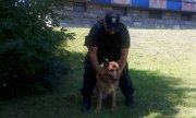 policjant ze swoim psem