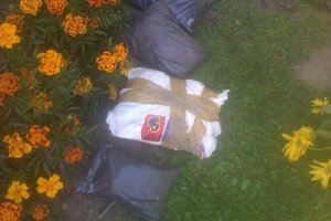 Worki foliowe z narkotykami leżące w ogrodzie pośród herbacianych kwiatów i zielonej trawy
