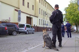 policjant z psem przed zakładem karnym