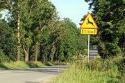 znak drogowy ostrzegający przed zwierzyną leśną
