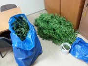 Krakowscy policjanci zwalczający przestępczość narkotykową zatrzymali dwóch mężczyzn, u których znaleziono m.in. ponad 3 kg marihuany