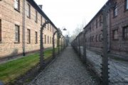 Kolejna edycja programu edukacyjnego w Auschwitz