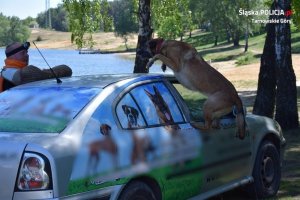 Szkolenie policyjnych psów