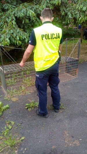 Policjant zabezpieczający pułapkę