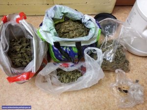 Posiadał znaczną ilość narkotyków i pistolet gazowy – policjanci zabezpieczyli ponad kilogram marihuany
