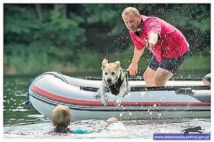 Pies skacze do wody
