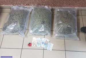 Blisko 3,5 kg narkotyków i podejrzany w rękach policjantów zwalczających przestępczość pseudokibiców