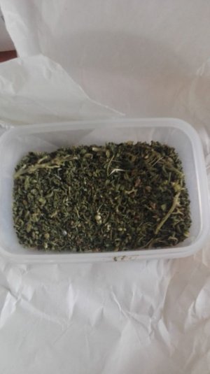 susz marihuany w plastikowym pudełku