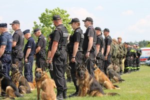 Na zdjęciu psy policyjne patrolowo – tropiące ze swoimi przewodnikami