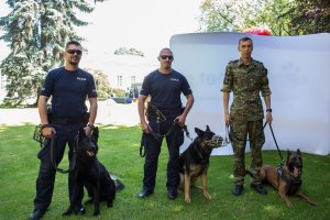 trzej policjanci z psami służbowymi