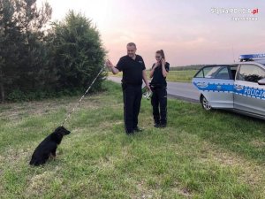 policjant i policjantka stoją przy radiowozie z psem