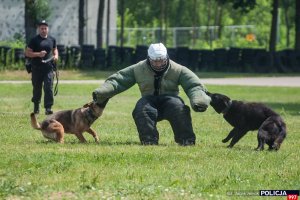 Dzień otwarty Centrum Szkolenia Policji w Legionowie – pokaz tresury psów policyjnych