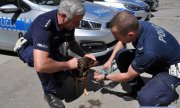 Policjanci podają wodę psu, który został chwilę wcześniej przez nich odnaleziony