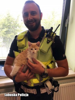 Policjant wraz z przygarniętym kotkiem.