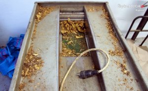 Maszyna służąca do cięcia liści tytoniu