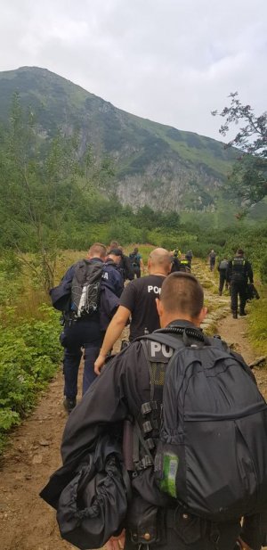 grupa policjantów ze sprzętem ratunkowym idzie pod górę