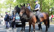Policyjni jeźdźcy na koniach zabezpieczają dożynki prezydenckie w Spale