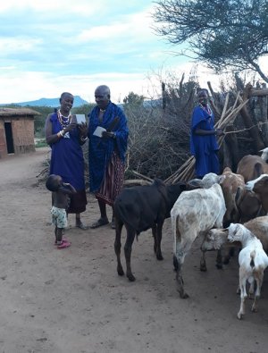 Tanzańscy dorośli, dziecko, kozy i krowy